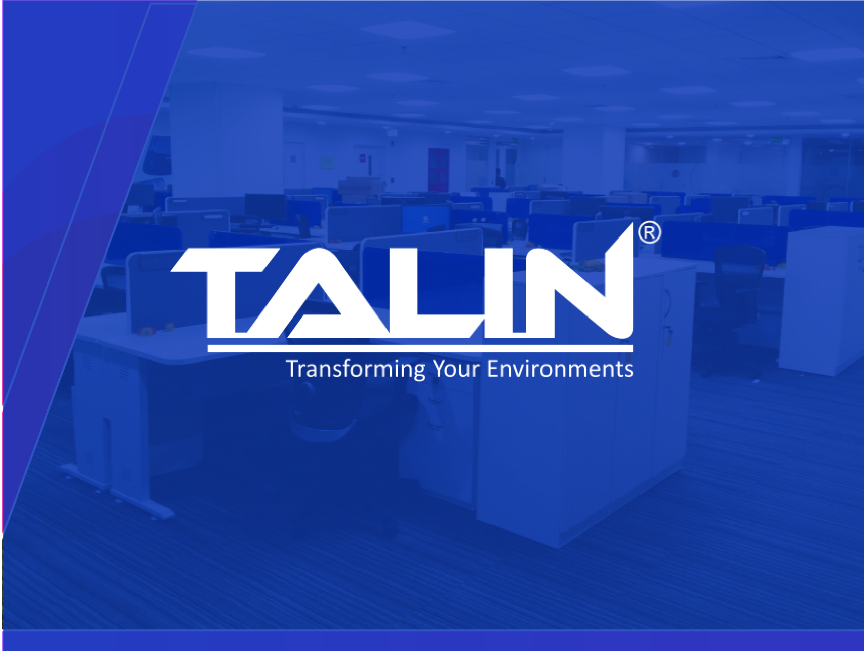 Talin - Social Media — portfolio thumbnail