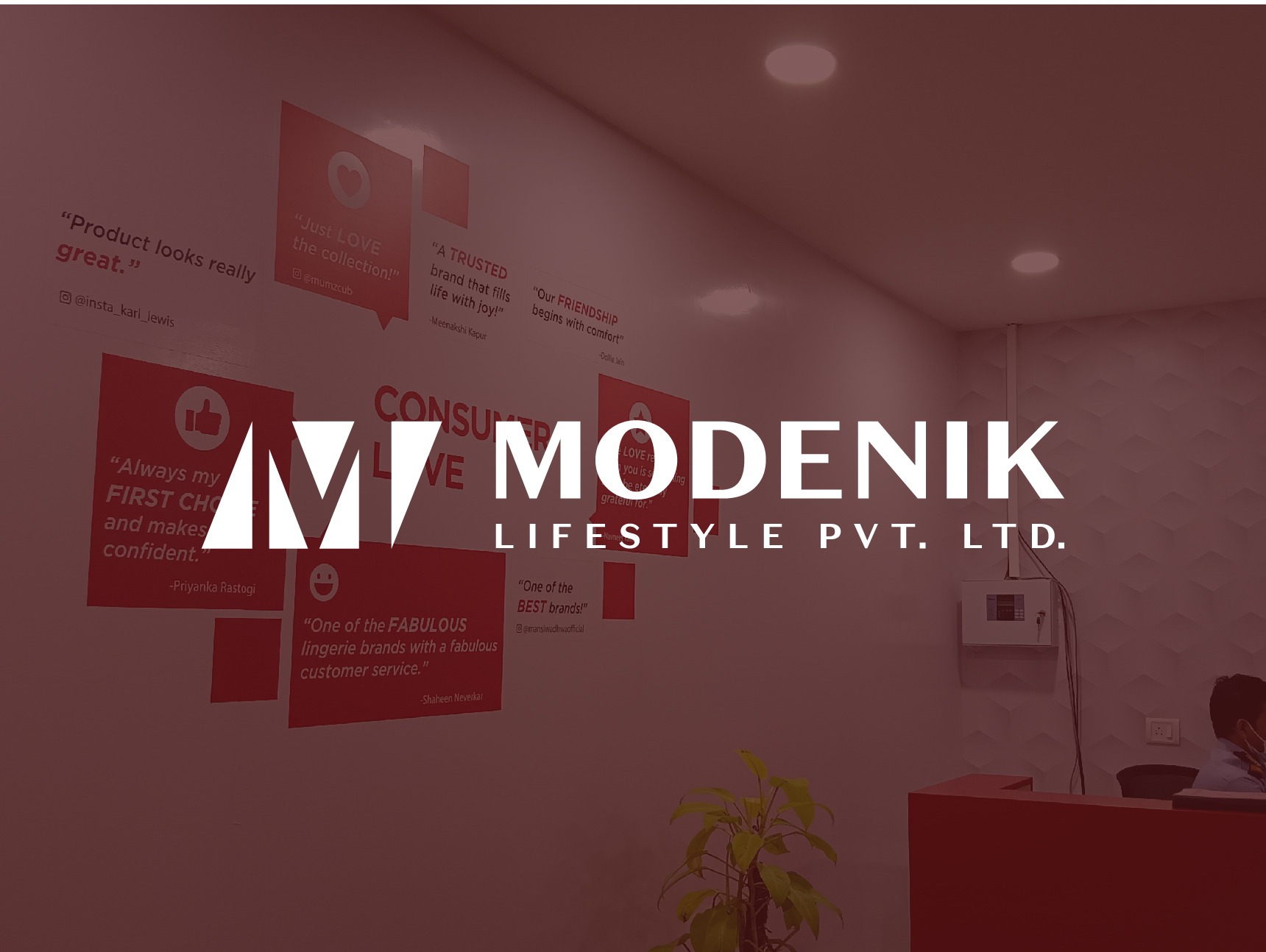 Modenik - Office Branding — portfolio thumbnail
